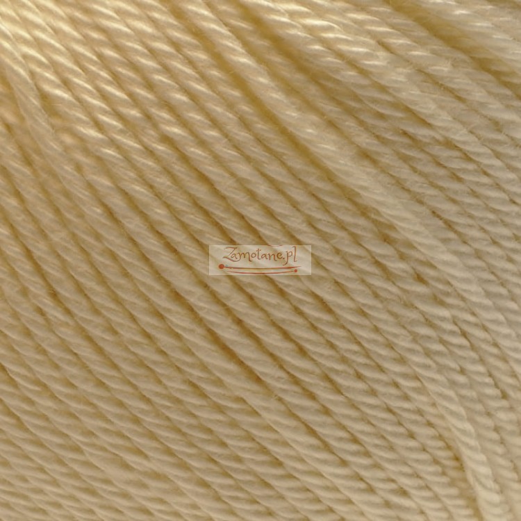 Ariadna Wenus 3000 zoom.jpg
