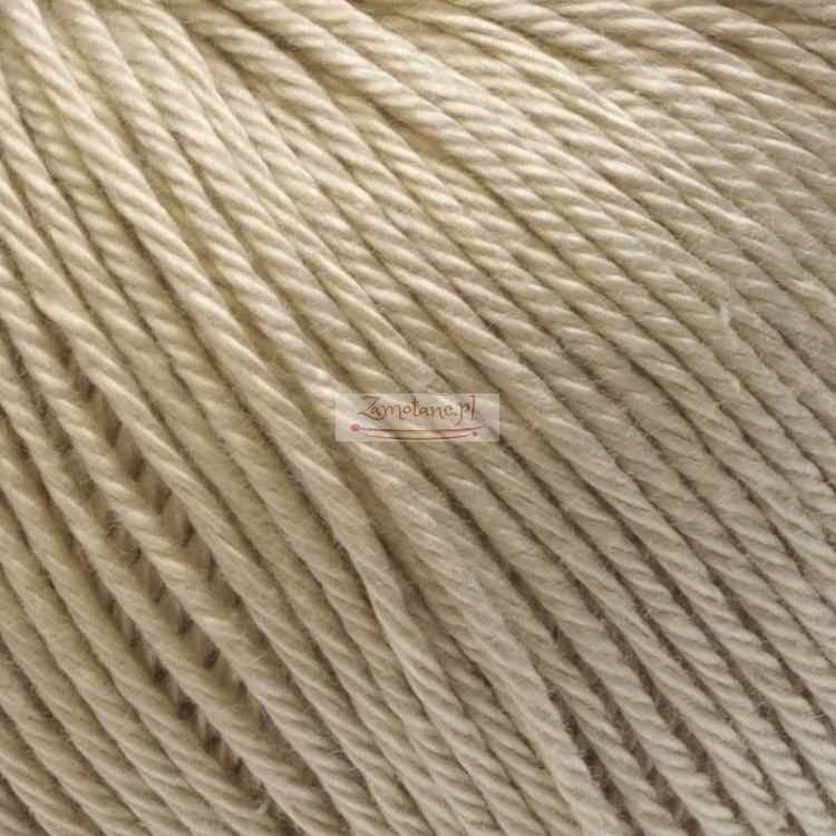 Ariadna Wenus 3001 zoom.jpg