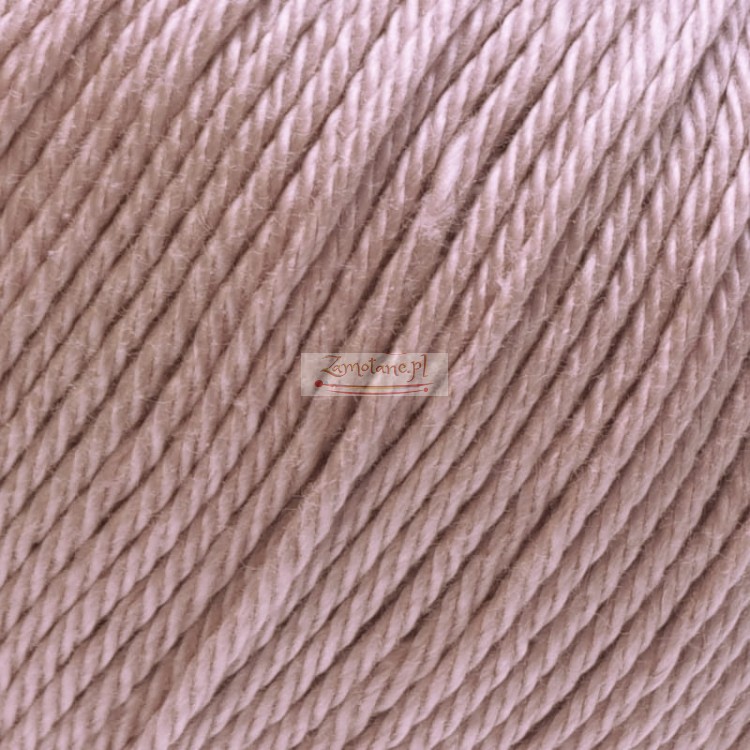 Ariadna Wenus 3004 zoom.jpg