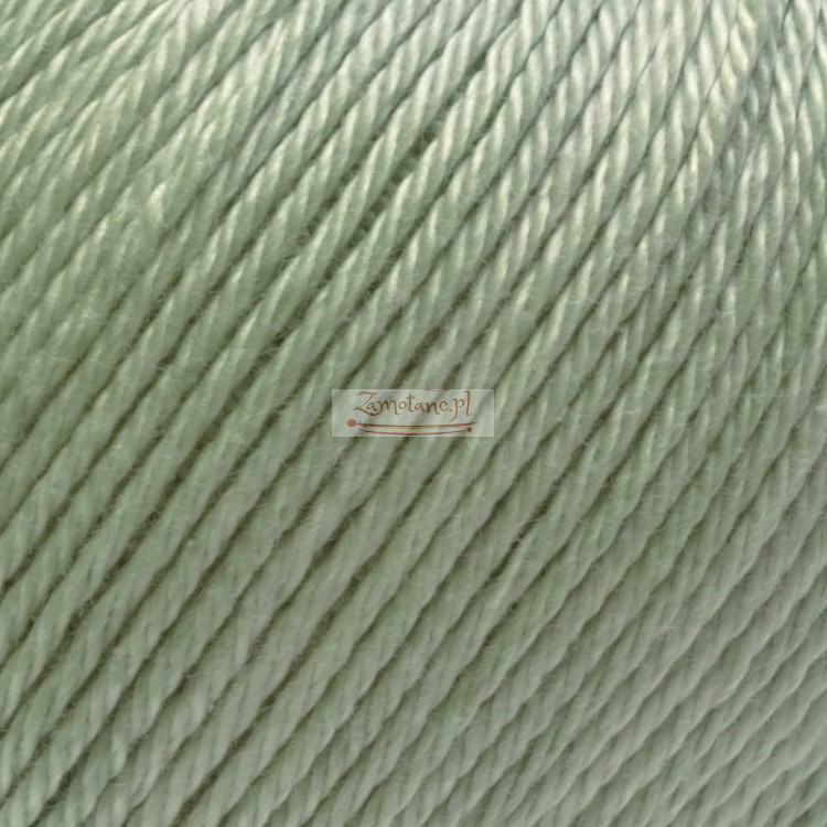 Ariadna Wenus 3006 zoom.jpg