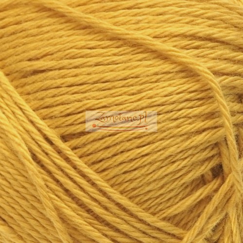 Agnes 1070 zoom.jpg