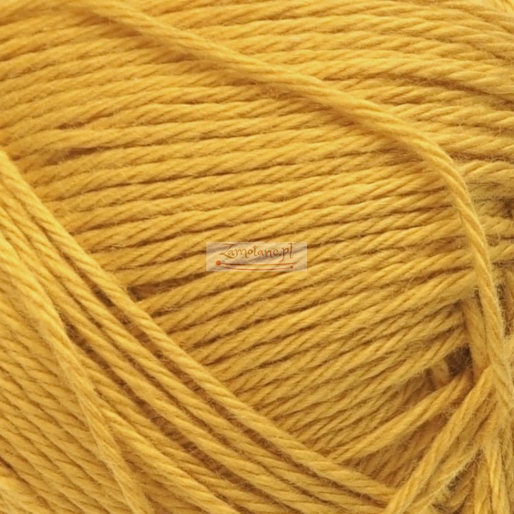 Agnes 1070 zoom.jpg