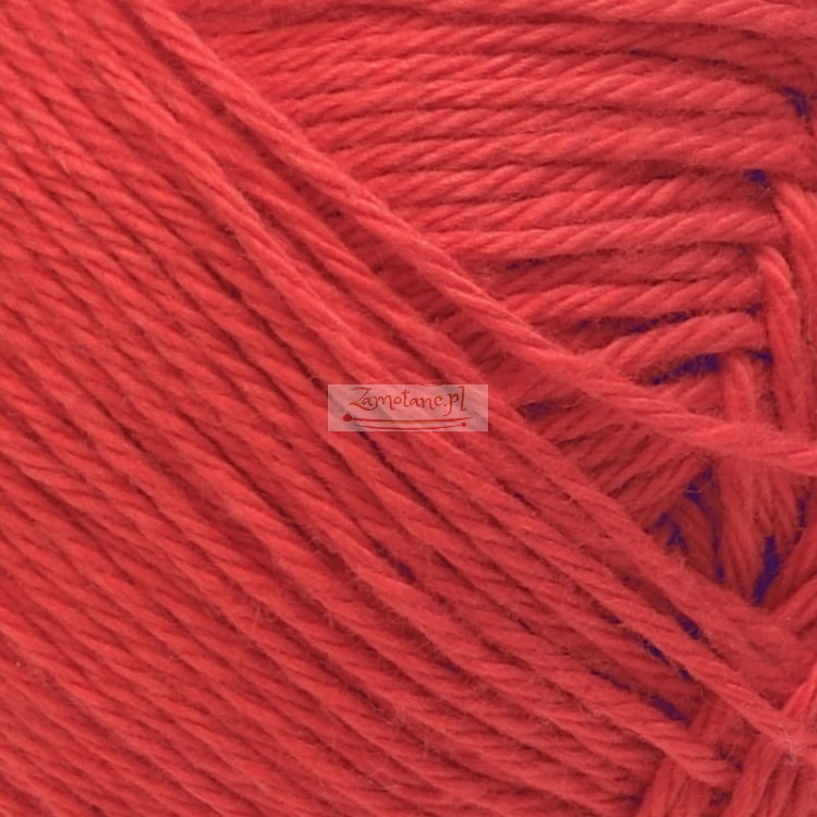 Agnes 1080 zoom.jpg