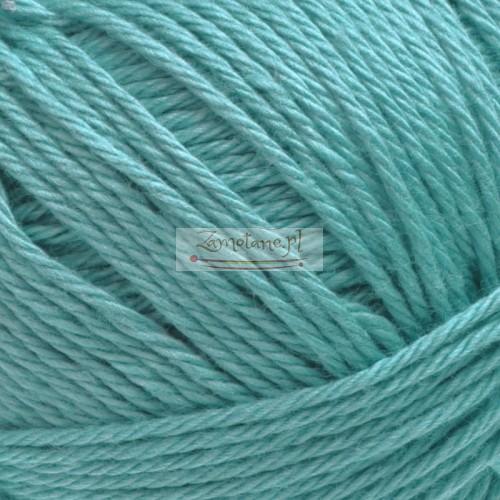 Agnes 1120 zoom.jpg