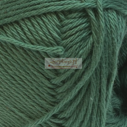 Agnes 1290 zoom.jpg