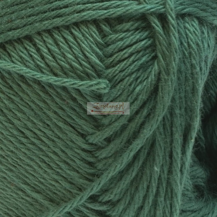 Agnes 1290 zoom.jpg