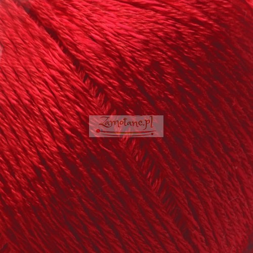 rojo 09 zoom.jpg