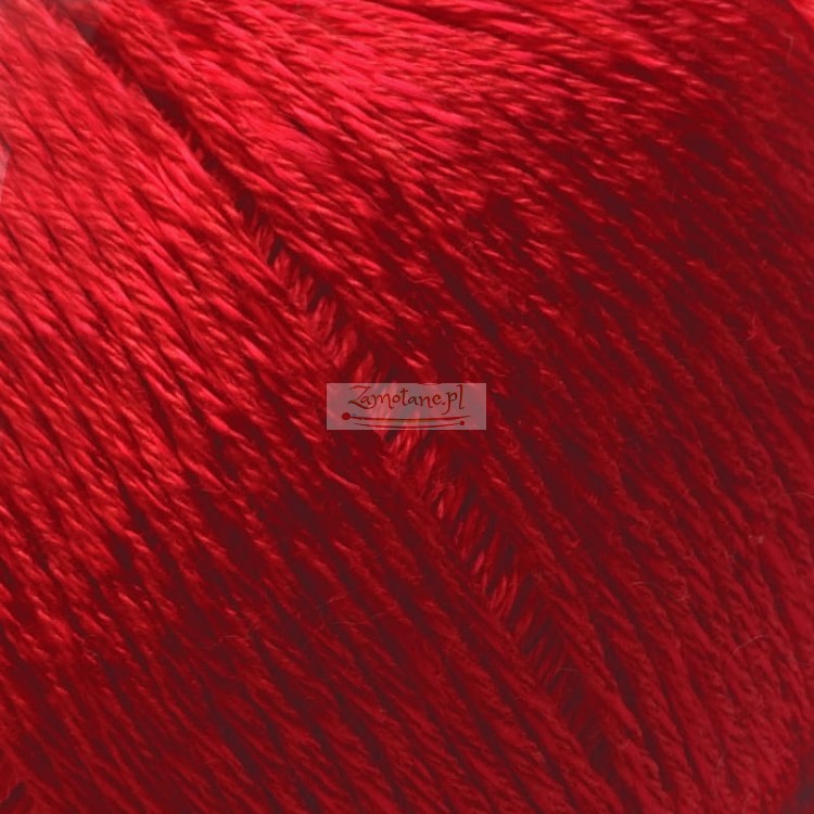 rojo 09 zoom.jpg