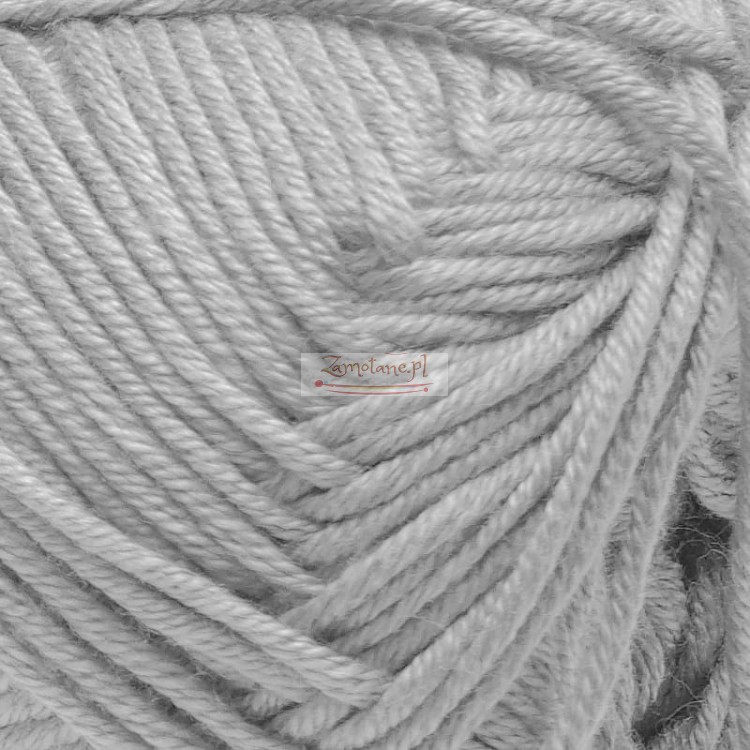 Palmera 2007 zoom.jpg