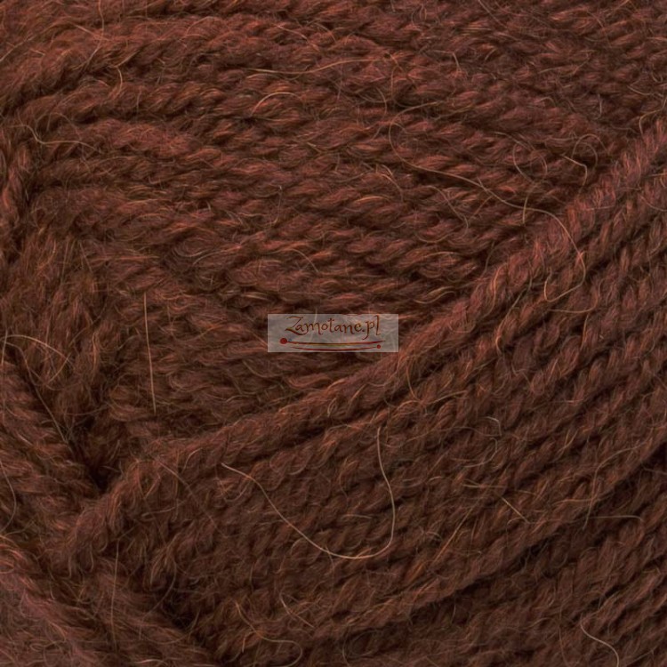 597_alpaca_royal_alize_MG_zoom.jpg