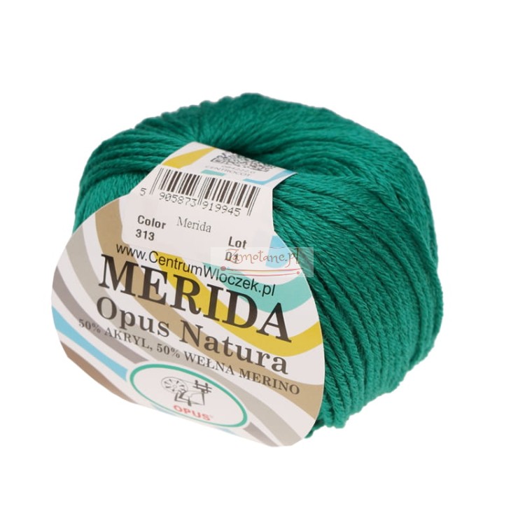 merida 313_1.jpg