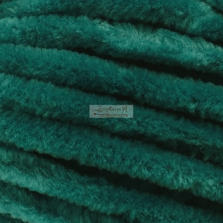 80331 zoom.jpg