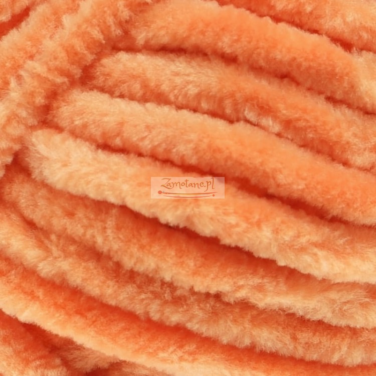 80316 zoom.jpg