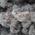 13497.jpg