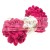 149_puffy_alize_anilanka.jpg