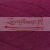 87_pansy_LP_MG_0269.jpg