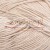 67_cotton_gold_alize_IMG_4944.jpg