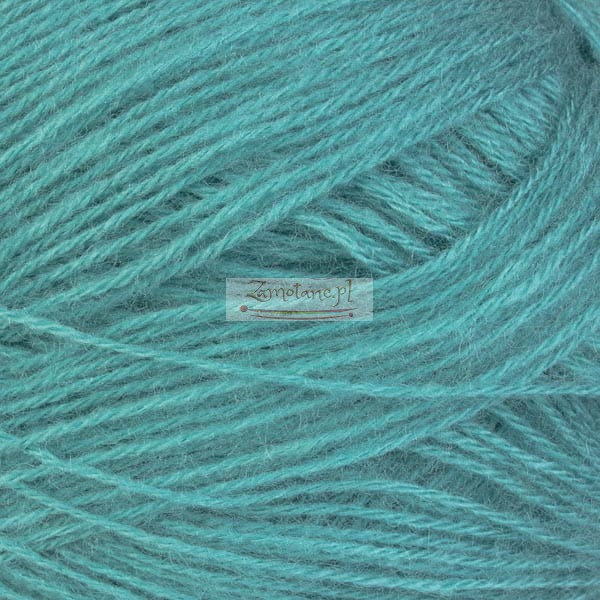 164_angora_gold_alize_IMG_2182.jpg