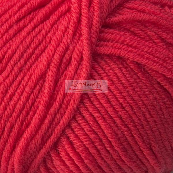 56_merino_royal_alize_IMG_7326.jpg