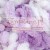 5923_puffy_alize_IMG_2072.jpg