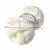 62_softy_plus_alize_IMG_2118.jpg