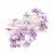 5923_puffy_alize_IMG_2067.jpg