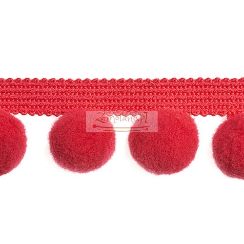 Tasma_pompon_PA40_306.jpg