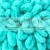 490_puffy_alize_IMG_2612.jpg
