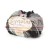 black_snowdrop_LP_MG_0684.jpg
