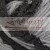 black_snowdrop_LP_MG_0678.jpg