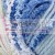 blue_columbine_LP_MG_0748.jpg
