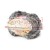 gray_snowdrop_LP_MG_0685.jpg