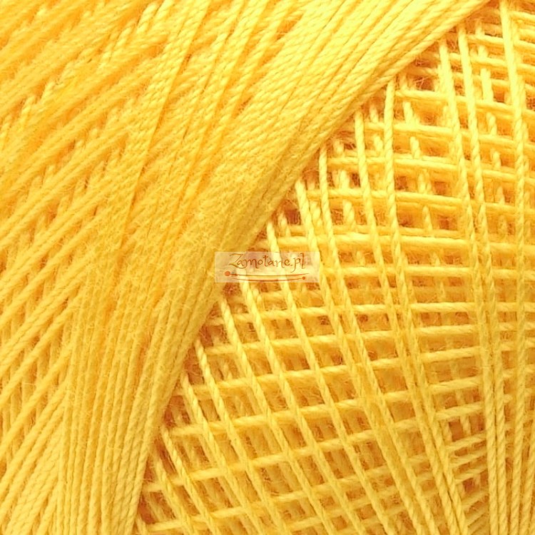 muza_50_1505_zoom.jpg
