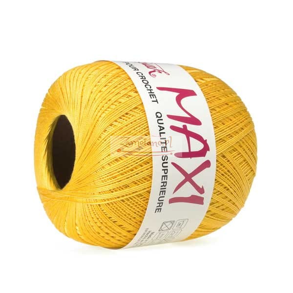 347_maxi_AB_IMG_3443.jpg