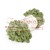 ALIZE PUFFY 485.jpg