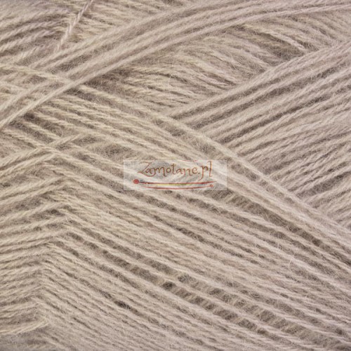 541_angora_gold_alize_IMG_2194.jpg