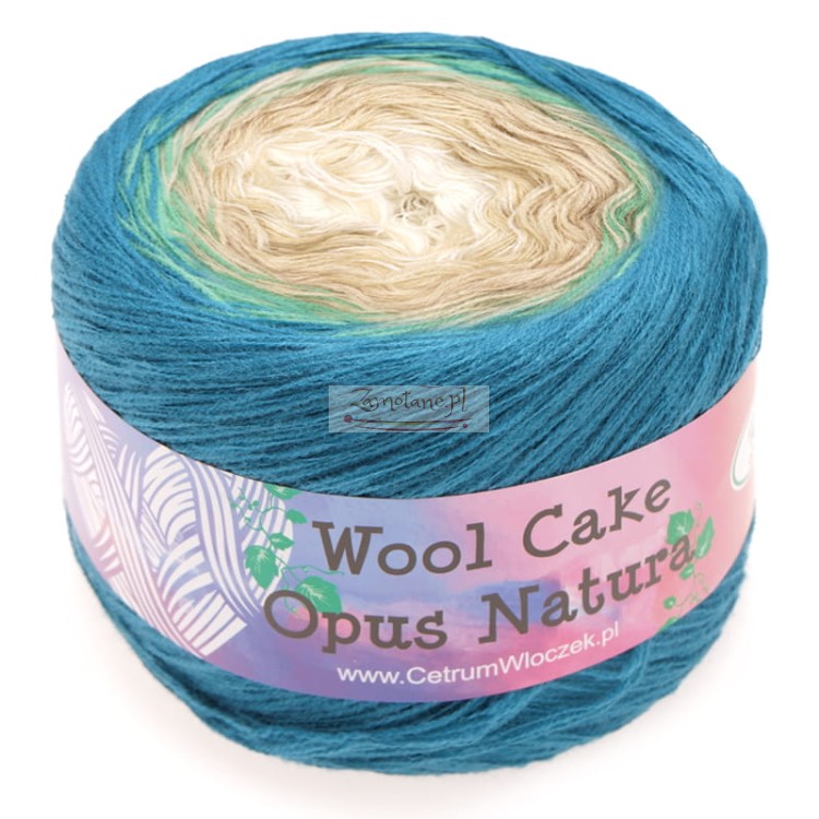 wool cake 45.jpg