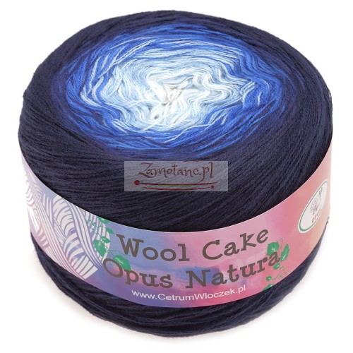 wool cake 17.jpg