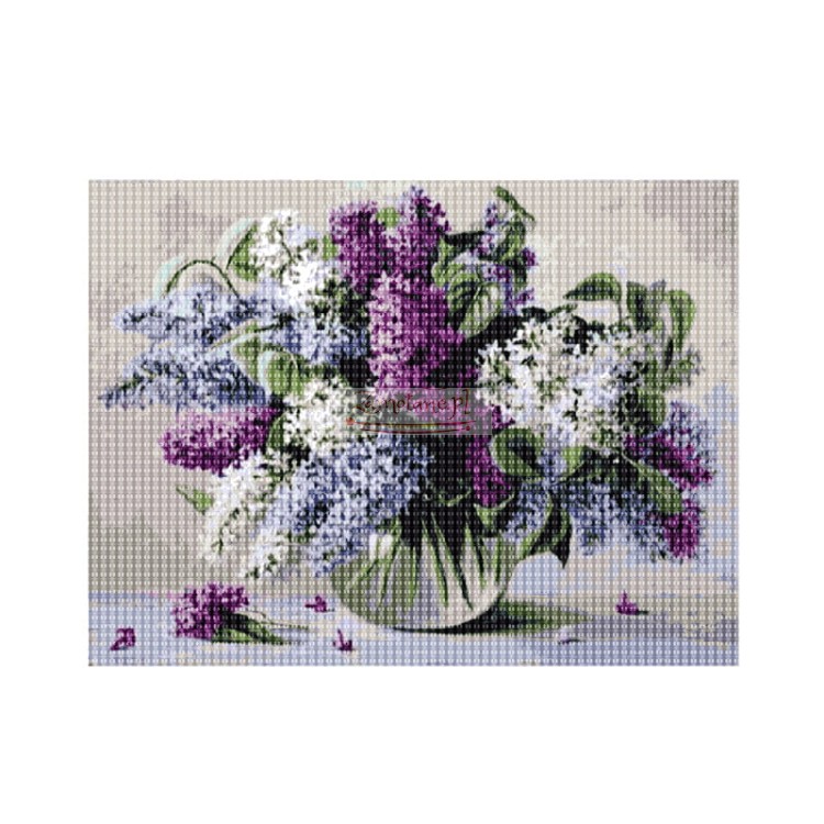 03019B.jpg