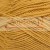 02_cotton_gold_alize_IMG_4930.jpg