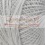 Muza_10_proba_1407.jpg