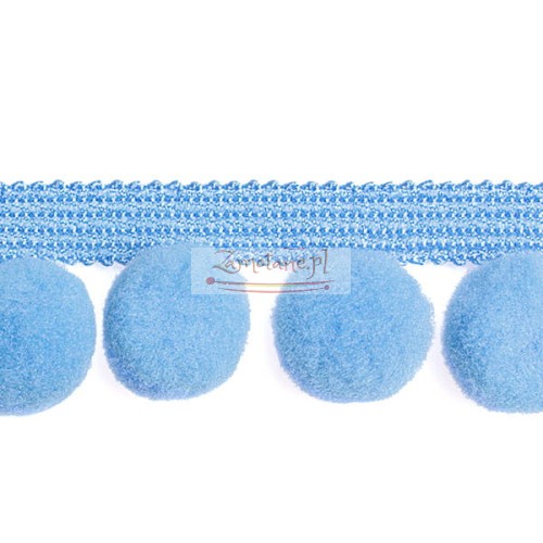 Tasma_pompon_PA40_515.jpg