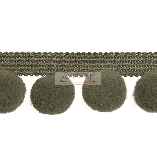 Tasma_pompon_PA40_606.jpg