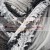 grey_columbine_LP_MG_0744.jpg