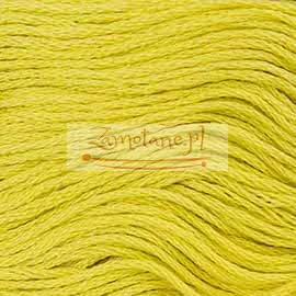 1709_mulina_ariadna.jpg