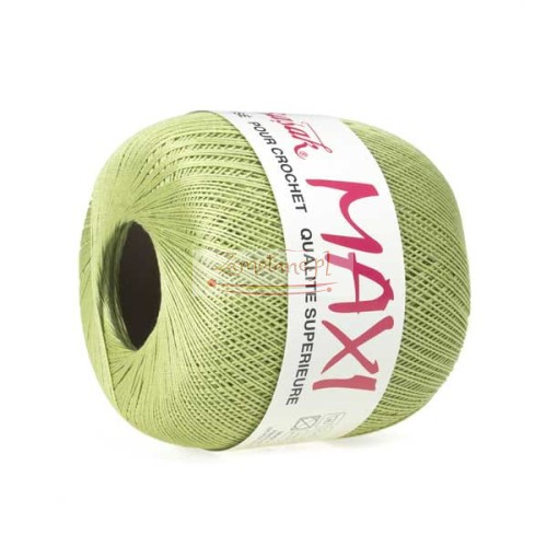 364_maxi_AB_IMG_3447.jpg