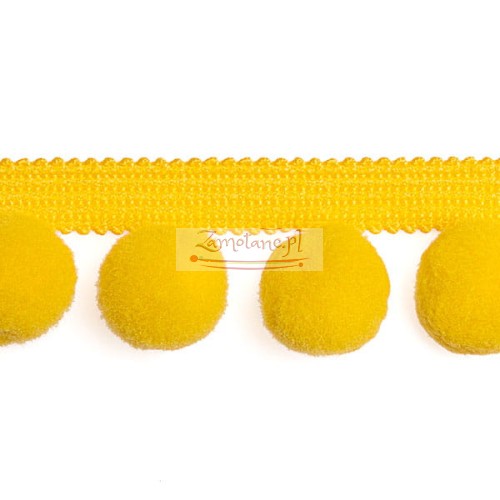 Tasma_pompon_PA40_104.jpg