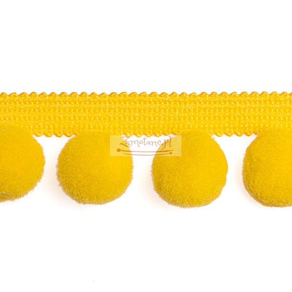 Tasma_pompon_PA40_104.jpg